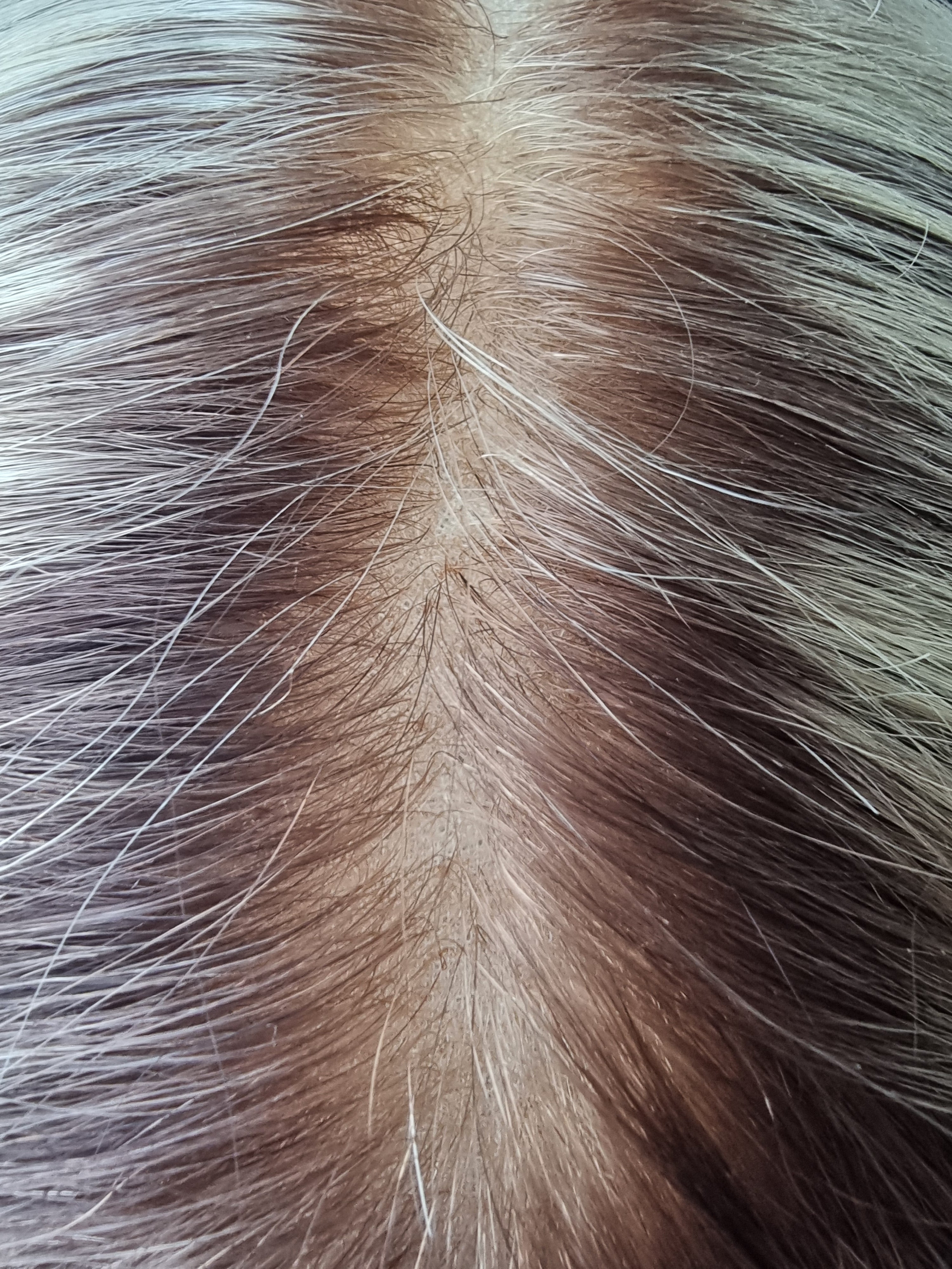 Remy Human Hair Wig (size M) - Fusion Collection